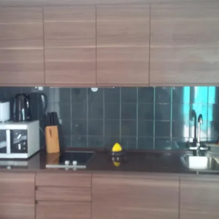 Apartament Terrace Principe Real
